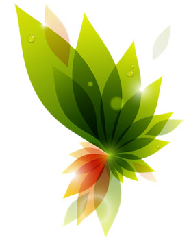 ReHabilitative Massage Therapy, Port Perry Ontario